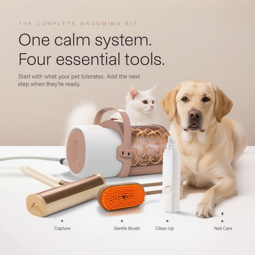 Pet Grooming Kit