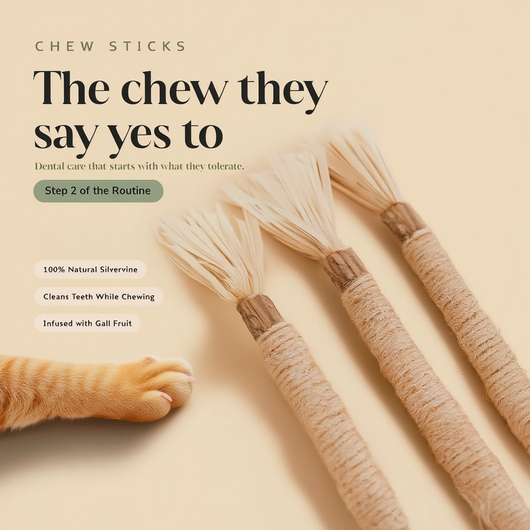 Cat Chew Dental Kit