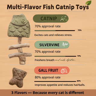 Cat Chew Dental Kit
