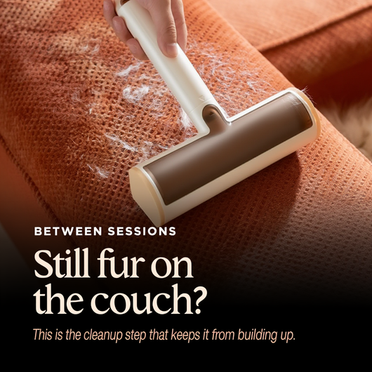 Pet Grooming Kit
