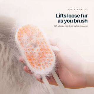 Pet Grooming Kit