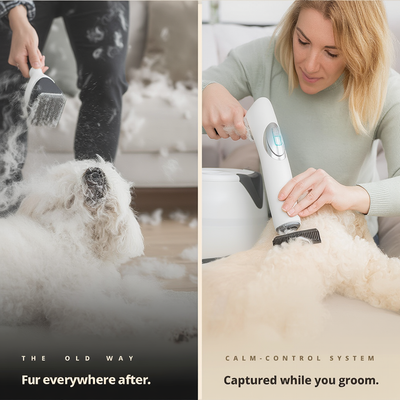 Pet Grooming Kit